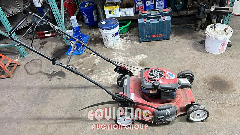 Yard King Self Propelled Lawn Mower Reviews Yard King