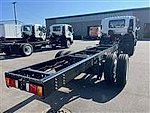 2024 Isuzu FTR Lp - Cab & Chassis