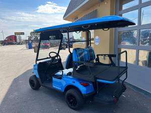 2022 Bintelli Standard - Golf Cart
