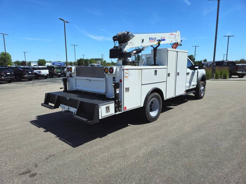 2024 Ford F600 (For Sale) | Service Truck | #248097