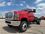 2024 International CV515