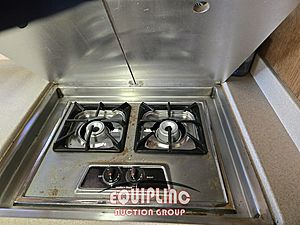 1996 COUNTRY COACH INTRIGUE