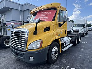 2019 Freightliner Cascadia 113