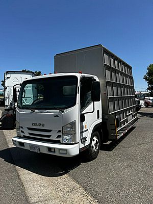 2020 Isuzu NPR HD - Box Van