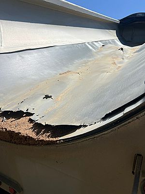 2018 Travis Frameless Aluminum End Dump - End Dump