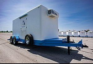 2025 Polar King PKM616 - Refrigerated Trailer