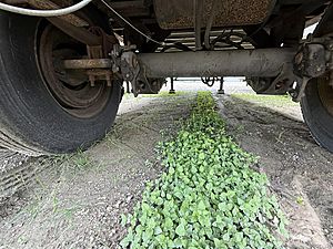 2006 Wabash - Dry Van