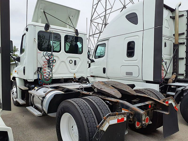 2019 Freightliner CASCADIA 113