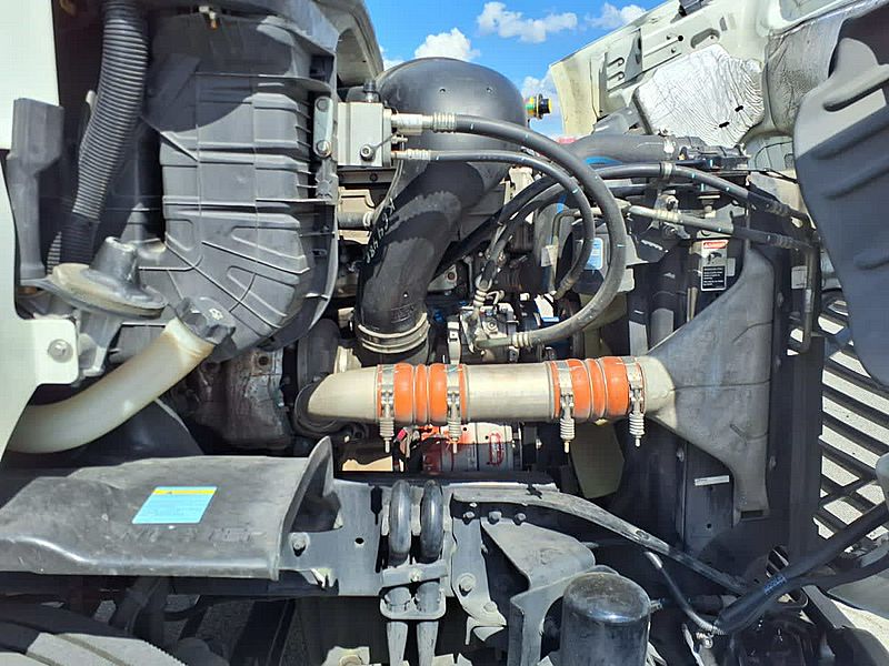 2019 Freightliner CASCADIA 113