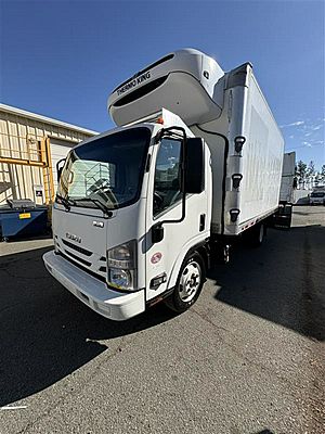 2019 Isuzu NRR