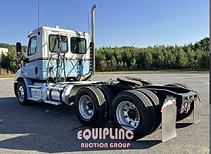 2014 Freightliner Cascadia 113