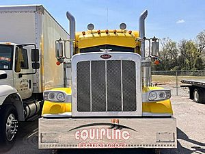 2014 Peterbilt 389