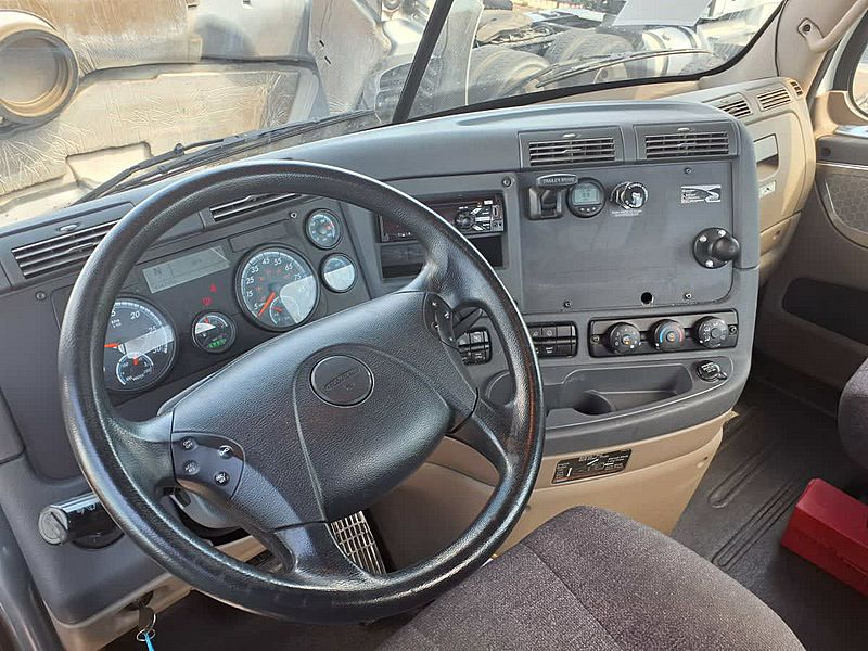2019 Freightliner CASCADIA 113