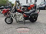 2020 MINI CHOPPER