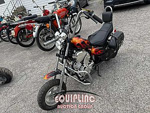 2020 MINI CHOPPER 