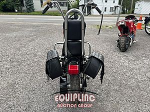 2020 MINI CHOPPER 