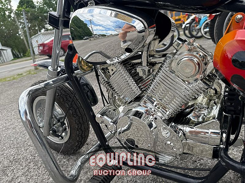 2020 MINI CHOPPER 