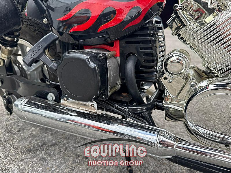 2020 MINI CHOPPER 