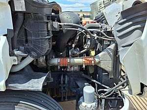 2020 Freightliner CASCADIA 113
