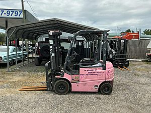 2020 BYD ECB25 - High-Capacity Forklift