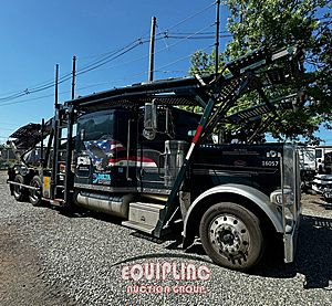 2019 Peterbilt 389