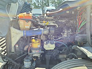 2019 Freightliner CASCADIA 125
