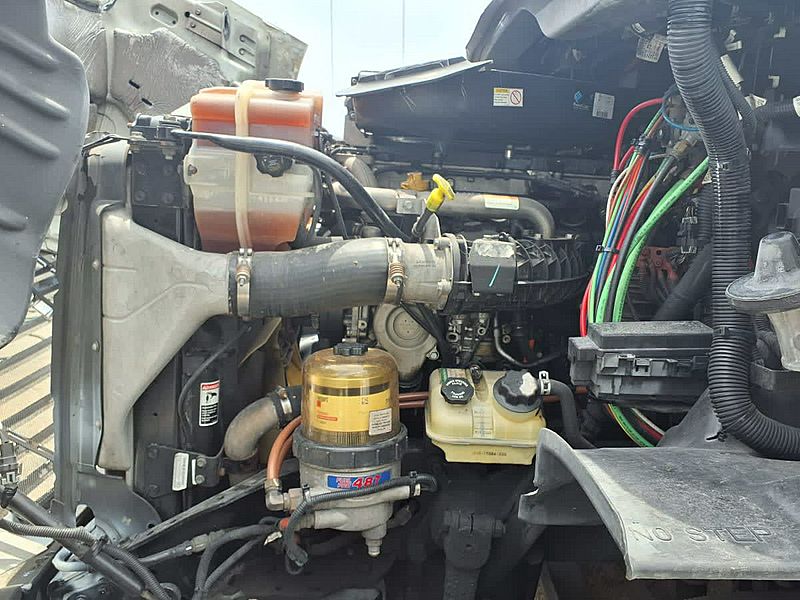 2019 Freightliner CASCADIA 113