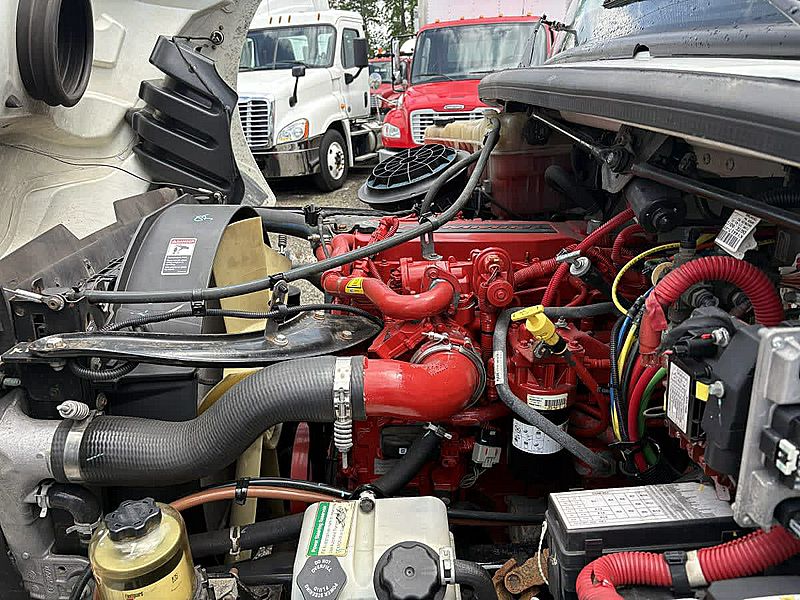 2019 Freightliner M2 106