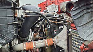 2019 Freightliner CASCADIA 113