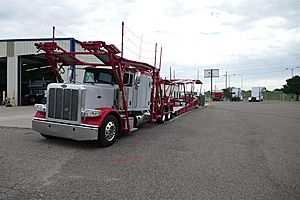 2019 Peterbilt 389 - Stinger