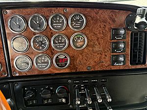 2005 Peterbilt 379