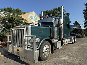 2020 Peterbilt 389