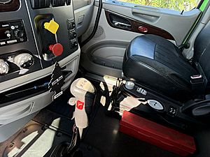 2017 Peterbilt 579