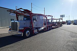 2020 Peterbilt 389 - Stinger
