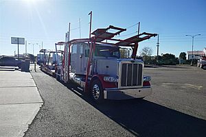2020 Peterbilt 389 - Stinger