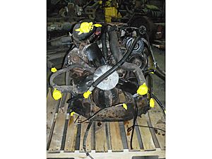 1995 Diesel Engine